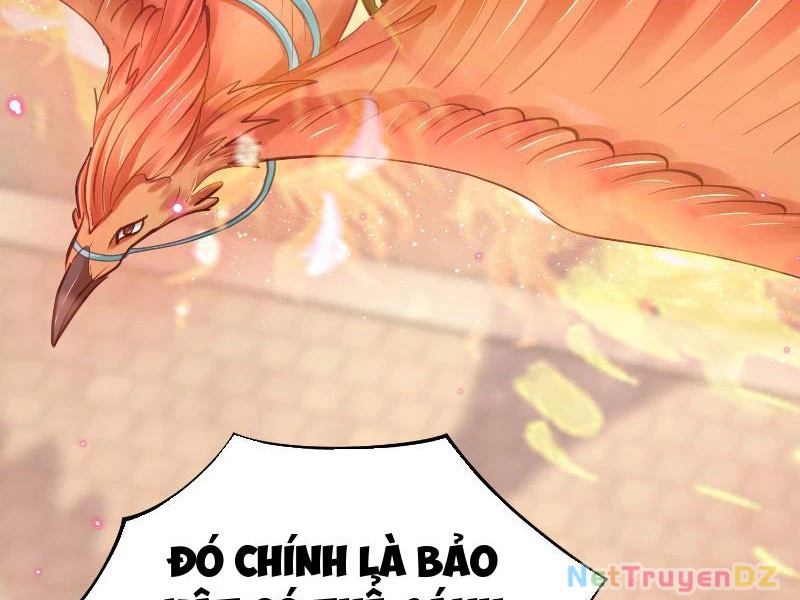 Hệ Thống Hèn Mọn Quỳ Xuống Cầu Xin Ta Vô Địch Chapter 4 - Trang 3