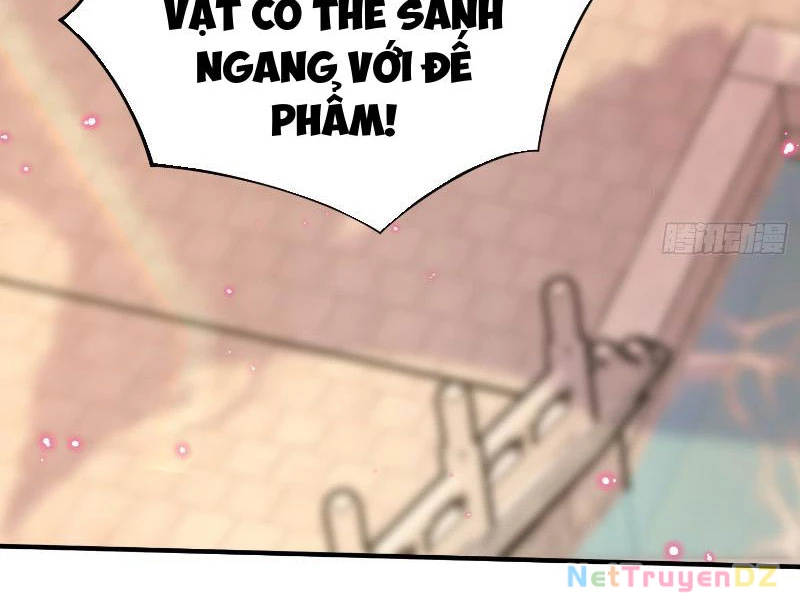 Hệ Thống Hèn Mọn Quỳ Xuống Cầu Xin Ta Vô Địch Chapter 4 - Trang 3