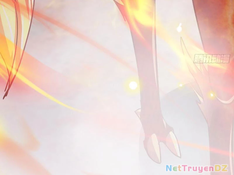 Hệ Thống Hèn Mọn Quỳ Xuống Cầu Xin Ta Vô Địch Chapter 4 - Trang 3