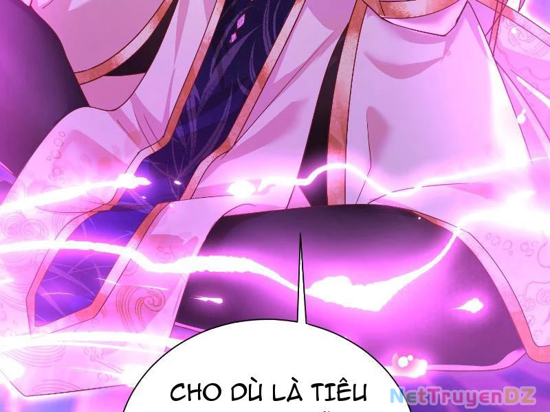 Hệ Thống Hèn Mọn Quỳ Xuống Cầu Xin Ta Vô Địch Chapter 4 - Trang 3