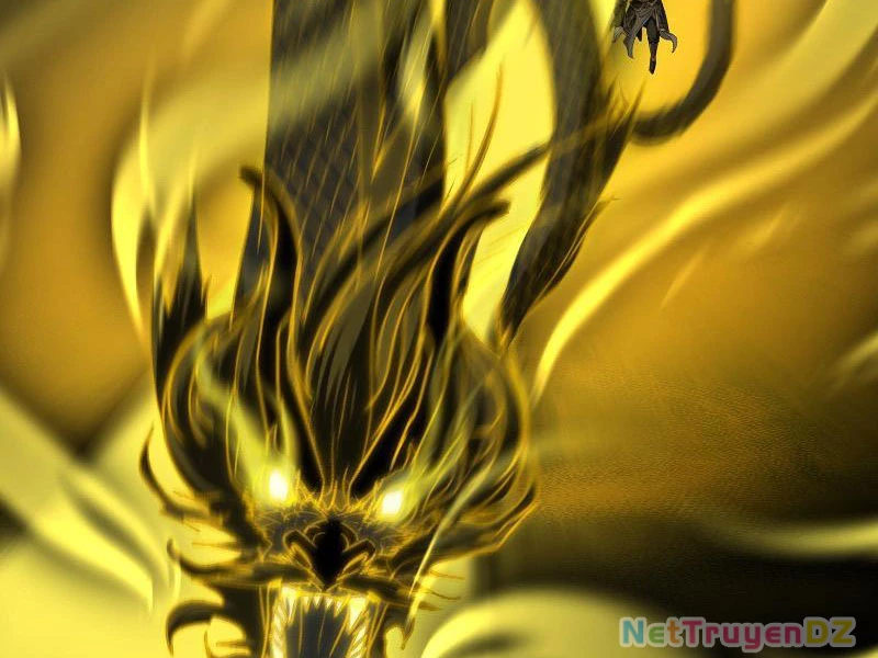 Hệ Thống Hèn Mọn Quỳ Xuống Cầu Xin Ta Vô Địch Chapter 5 - Trang 3