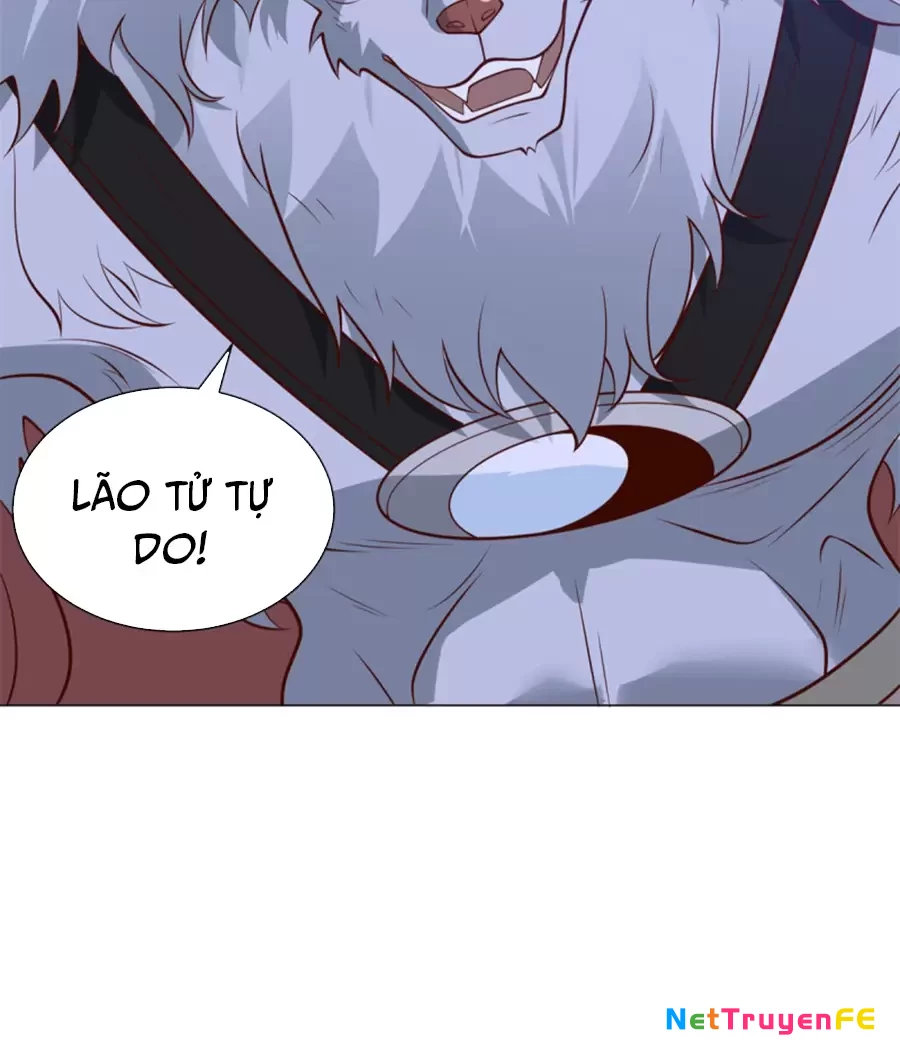 Người Ở Rể Bị Ép Thành Phản Diện Chapter 635 - Trang 2