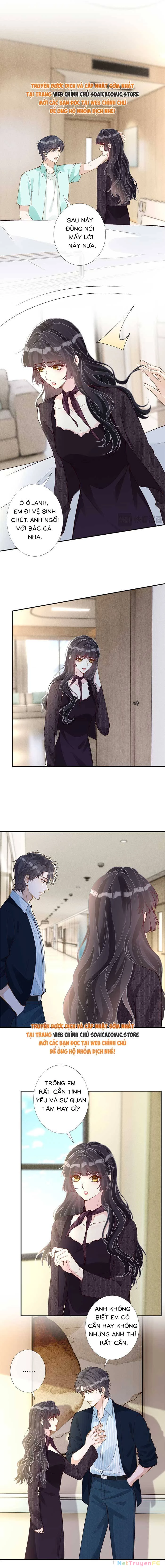 Ôm Khẩn Tiểu Mã Giáp Của Tôi Chapter 332 - Trang 4