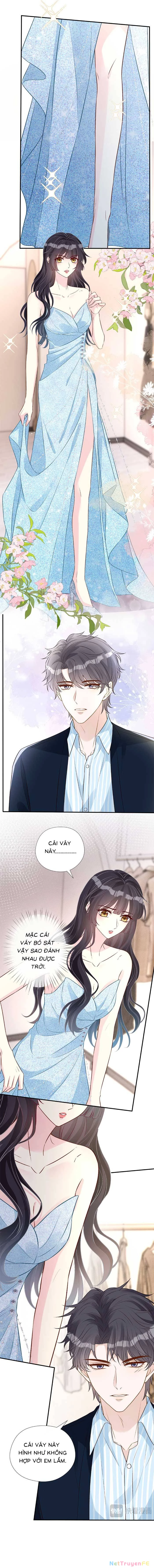 Ôm Khẩn Tiểu Mã Giáp Của Tôi Chapter 332 - Trang 4