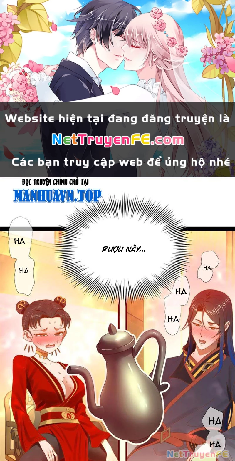 Chàng Rể Mạnh Nhất Lịch Sử Chapter 237 - Trang 4