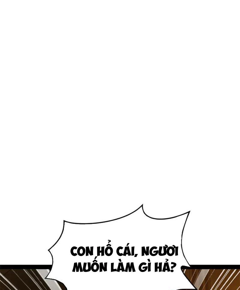 Chàng Rể Mạnh Nhất Lịch Sử Chapter 237 - Trang 4