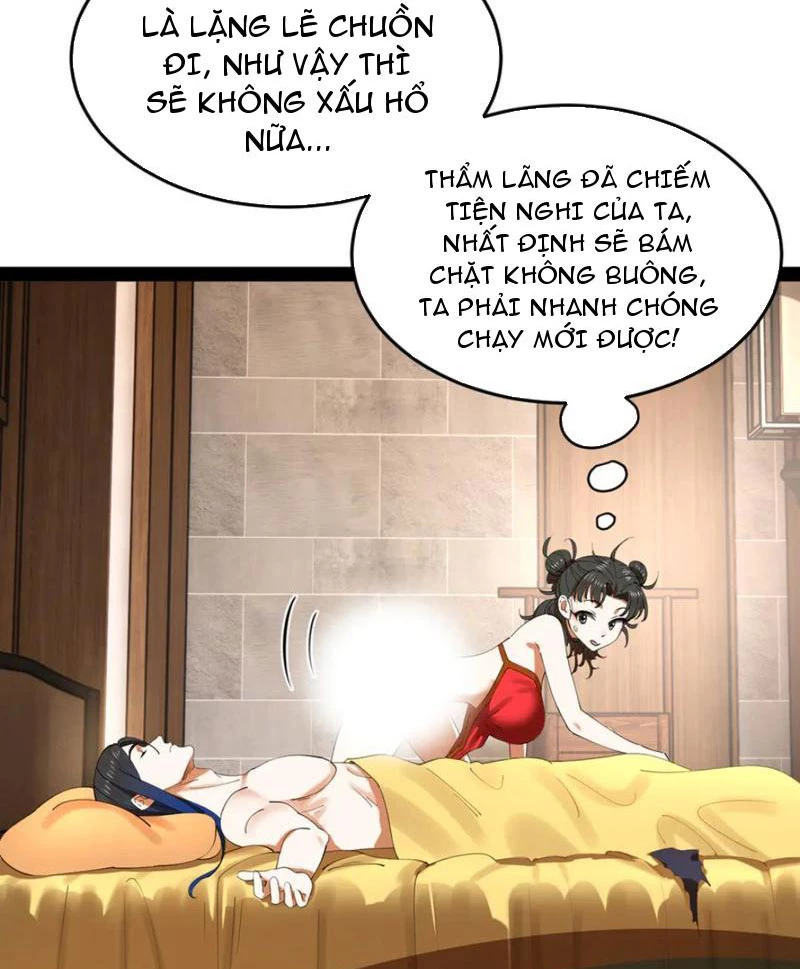 Chàng Rể Mạnh Nhất Lịch Sử Chapter 237 - Trang 4