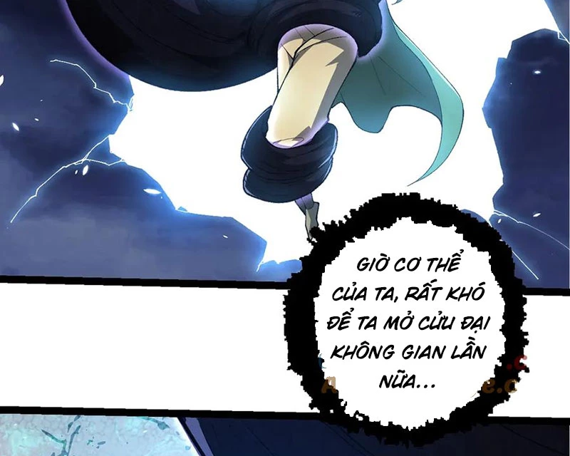 Chuyển Sinh Thành Liễu Đột Biến Chapter 286 - Trang 4