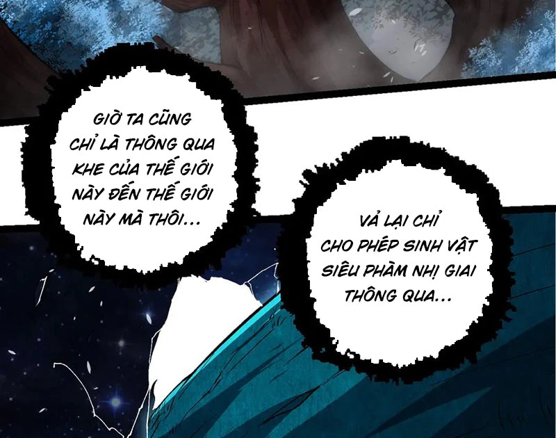 Chuyển Sinh Thành Liễu Đột Biến Chapter 286 - Trang 4