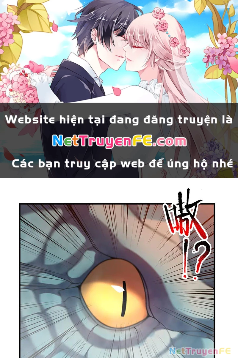 Thần Sủng Tiến Hóa Chapter 351 - Trang 4