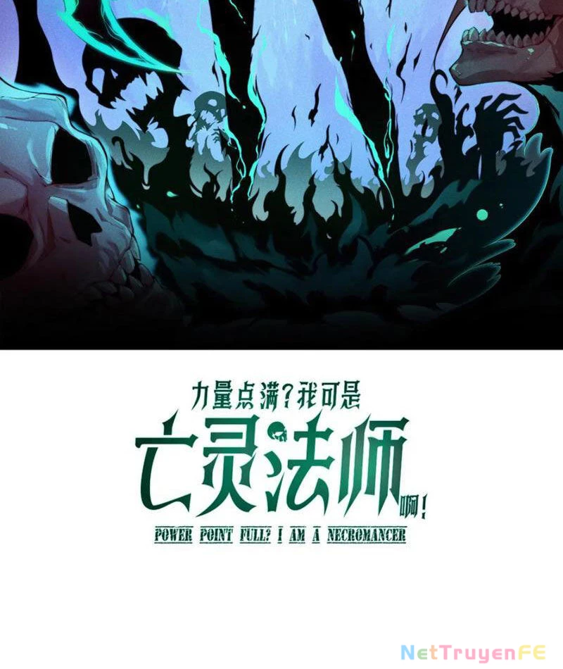 Sức Mạnh Tối Đa? Ta Lại Là Vong Linh Sư! Chapter 54 - Trang 4