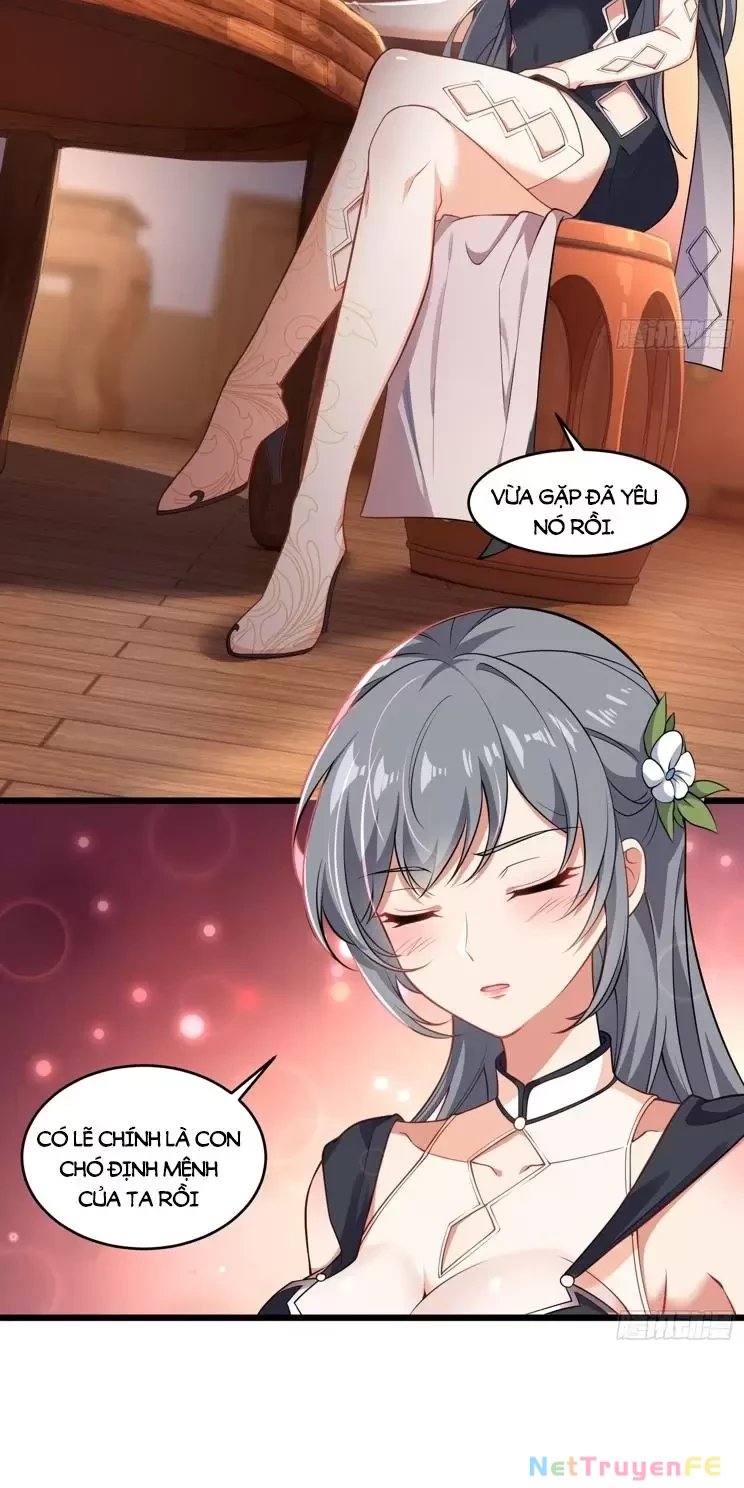 Xuyên Không Thành Npc: Ta Có Lão Bà Che Chở Chapter 60 - Trang 3