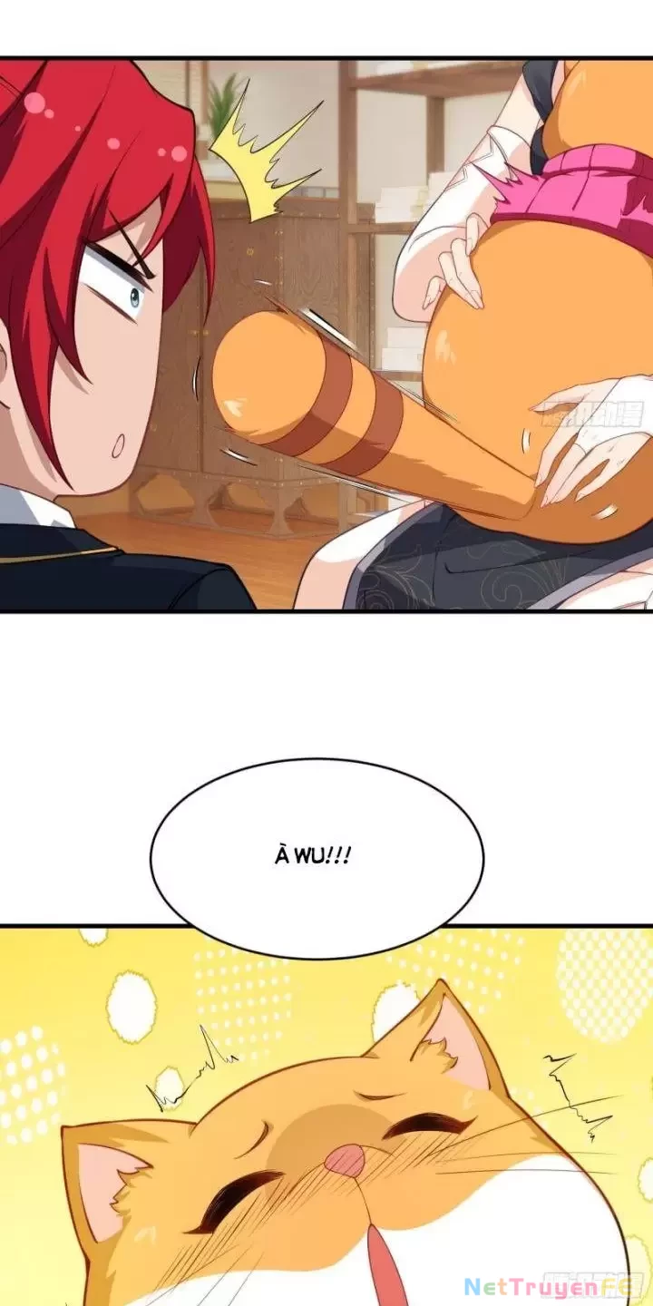 Xuyên Không Thành Npc: Ta Có Lão Bà Che Chở Chapter 65 - Trang 3