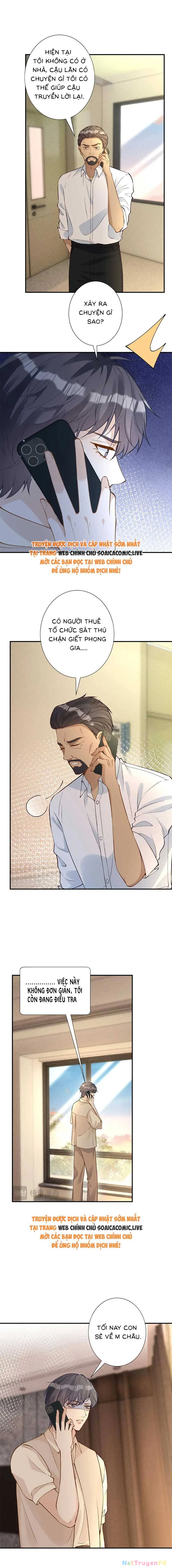 Ôm Khẩn Tiểu Mã Giáp Của Tôi Chapter 334 - Trang 4