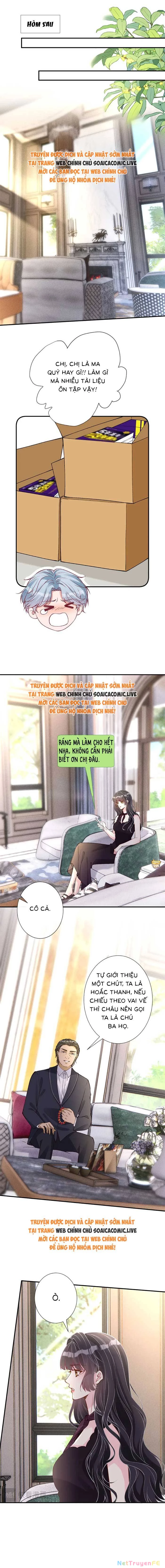 Ôm Khẩn Tiểu Mã Giáp Của Tôi Chapter 334 - Trang 4