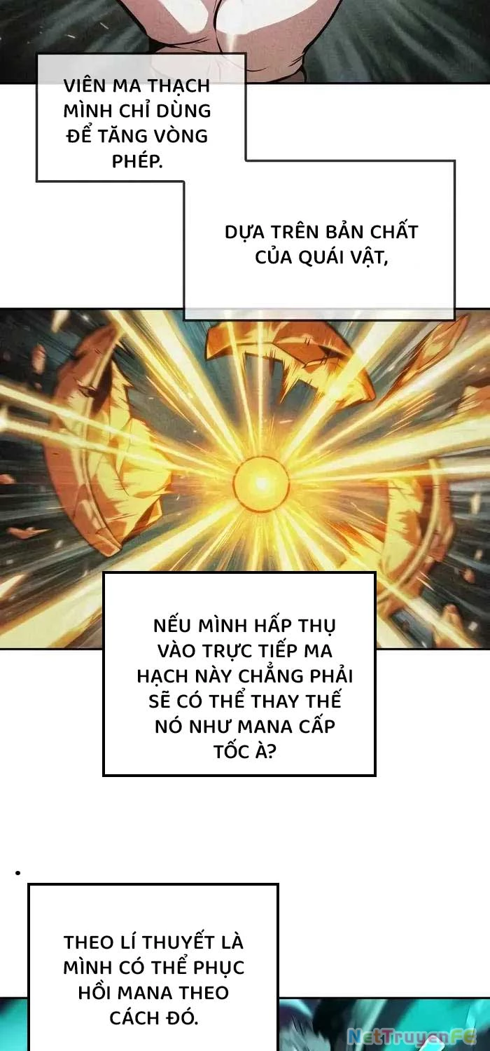 Mạo Hiểm Giả Cuối Cùng Chapter 40 - Trang 4