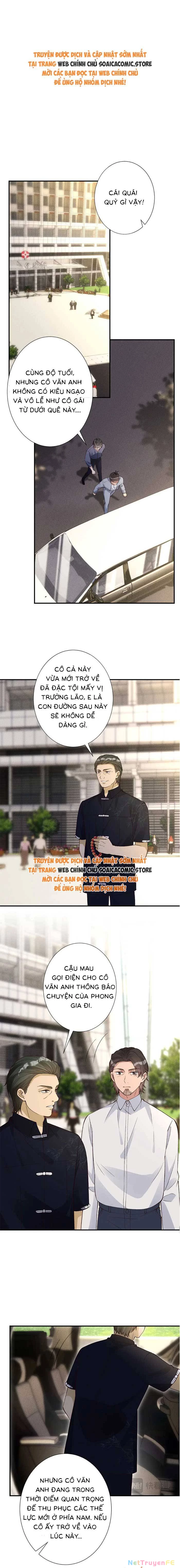 Ôm Khẩn Tiểu Mã Giáp Của Tôi Chapter 333 - Trang 4