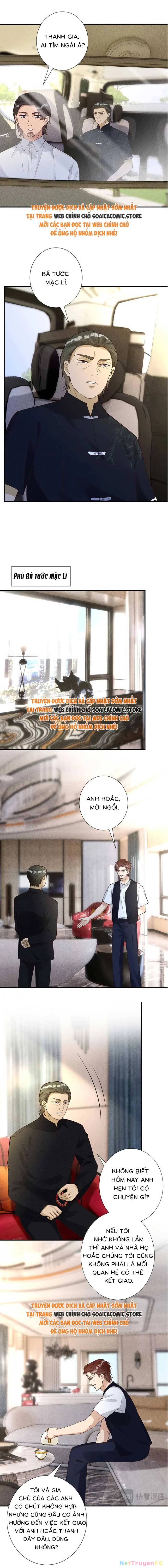 Ôm Khẩn Tiểu Mã Giáp Của Tôi Chapter 333 - Trang 4