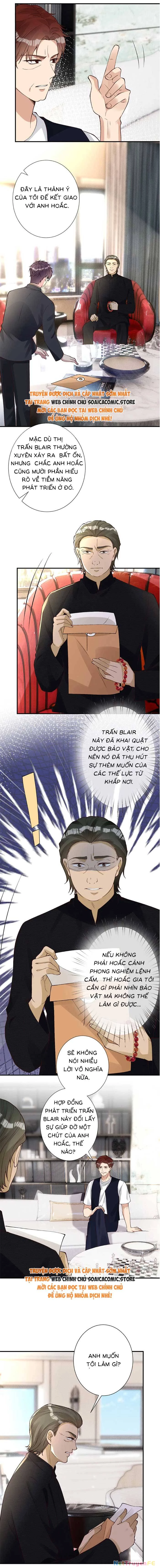 Ôm Khẩn Tiểu Mã Giáp Của Tôi Chapter 333 - Trang 4