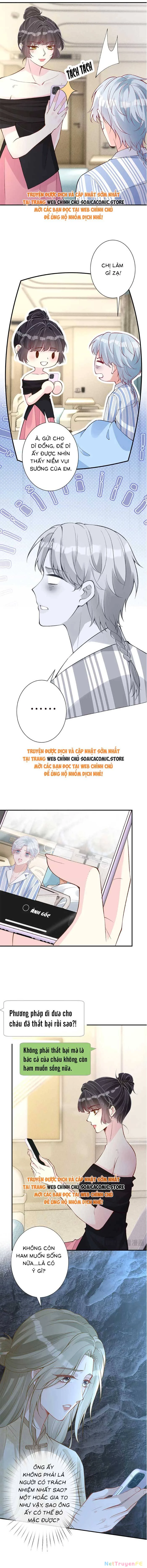 Ôm Khẩn Tiểu Mã Giáp Của Tôi Chapter 333 - Trang 4