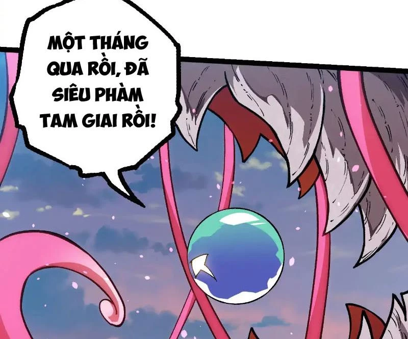 Chuyển Sinh Thành Liễu Đột Biến Chapter 287 - Trang 4