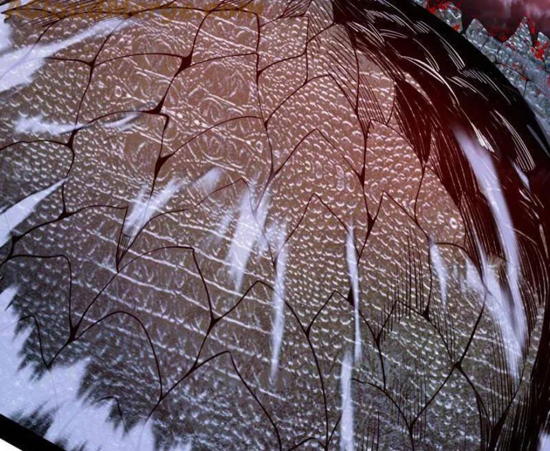 Ta Là Tà Đế Chapter 515 - Trang 4