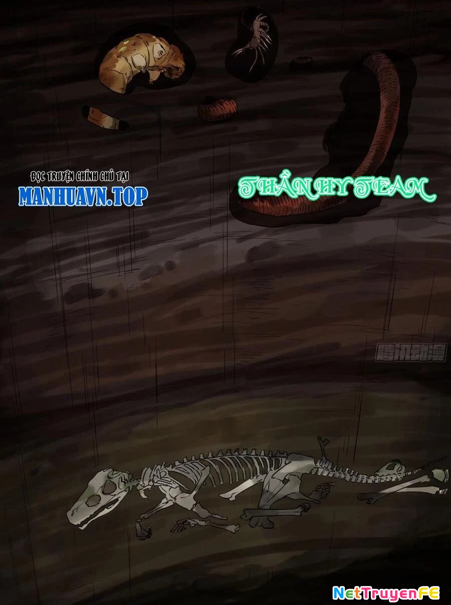 Truyền Võ Chapter 262 - Trang 4