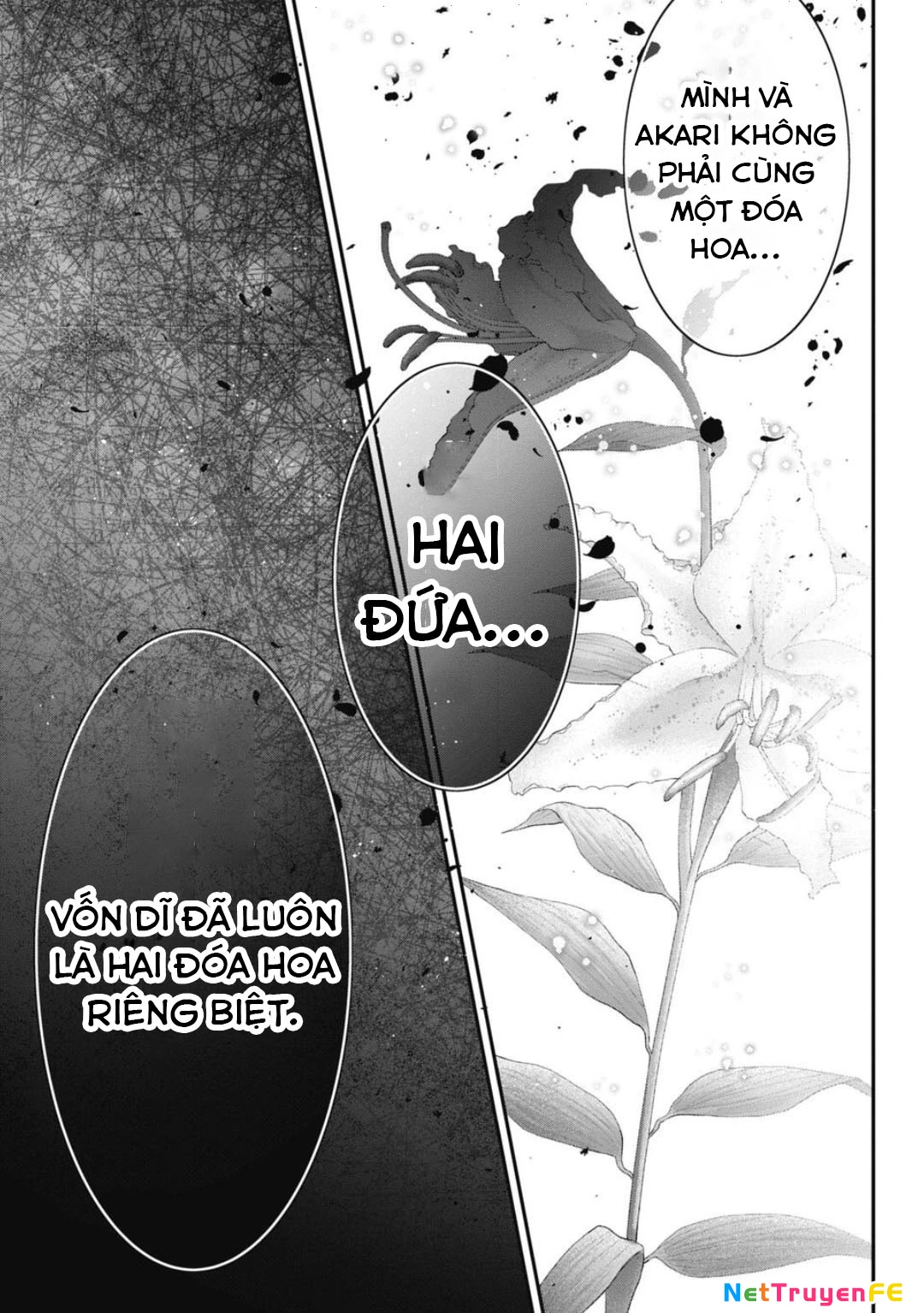 Thầy trò không biết yêu Chapter 50 - Trang 3