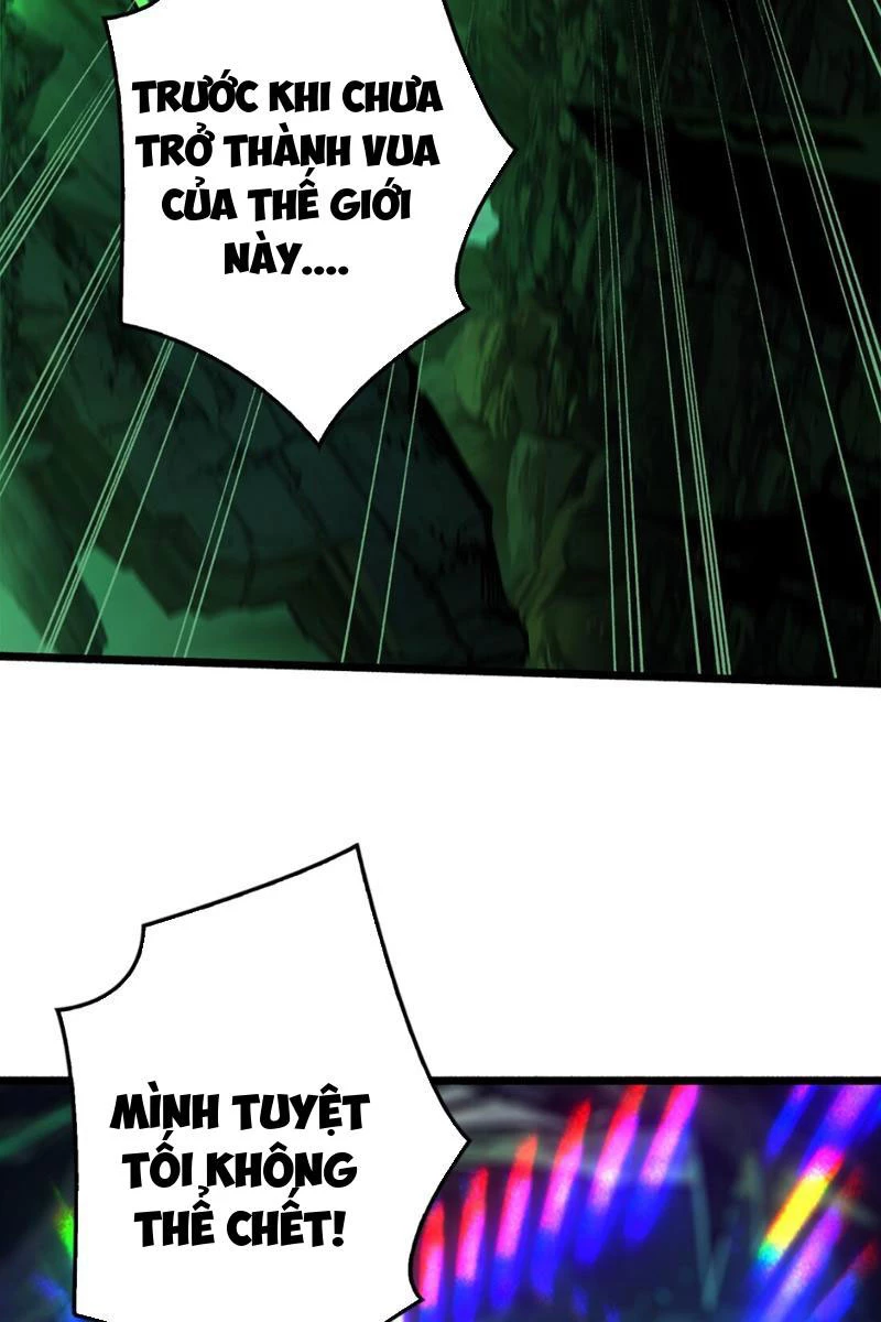 Bùng Cháy Đi Người Chơi Cấp Cao Chapter 5 - Trang 2