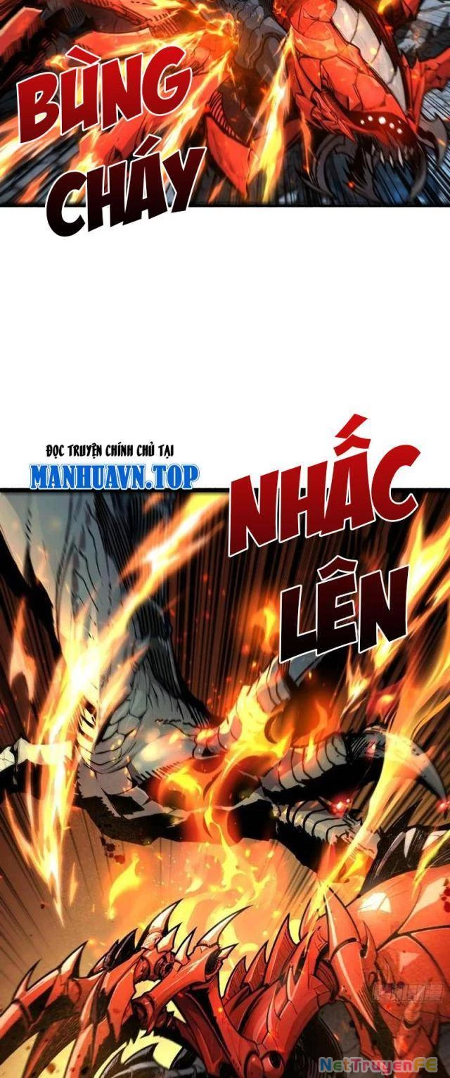 Bùng Cháy Đi Người Chơi Cấp Cao Chapter 14 - Trang 2