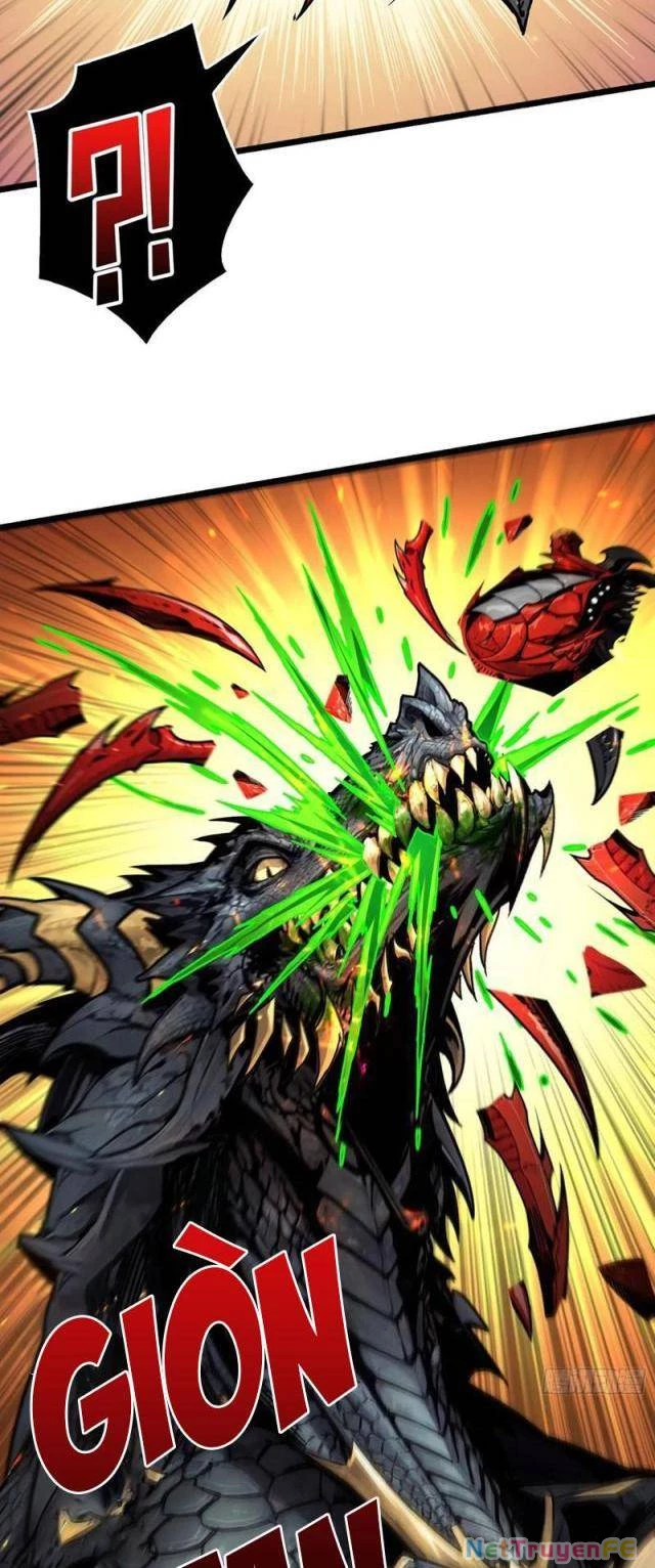 Bùng Cháy Đi Người Chơi Cấp Cao Chapter 14 - Trang 2