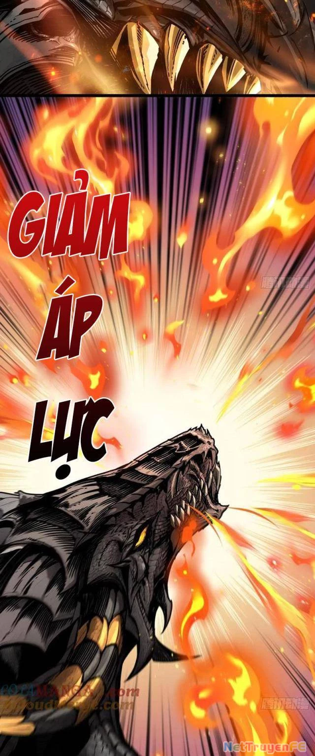 Bùng Cháy Đi Người Chơi Cấp Cao Chapter 14 - Trang 2