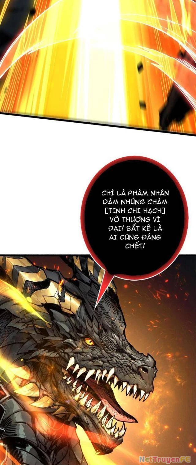 Bùng Cháy Đi Người Chơi Cấp Cao Chapter 15 - Trang 2