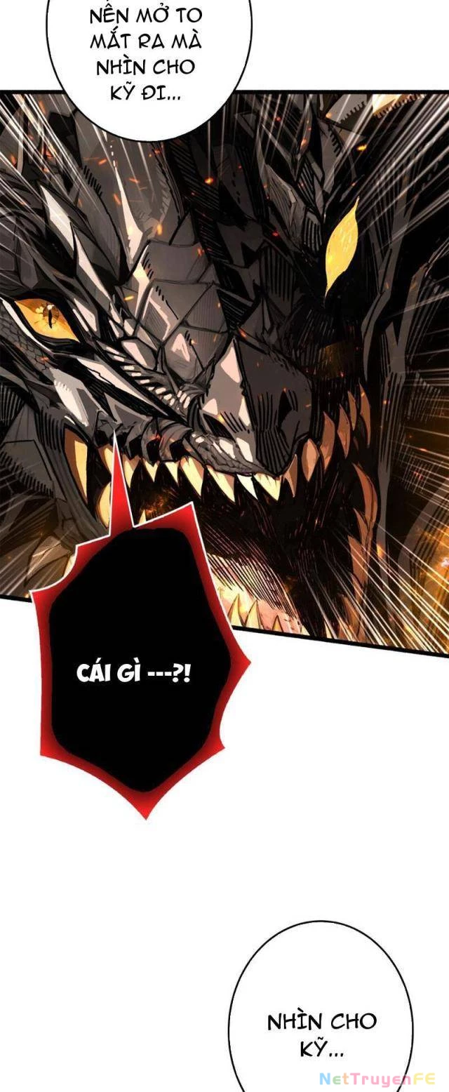 Bùng Cháy Đi Người Chơi Cấp Cao Chapter 15 - Trang 2