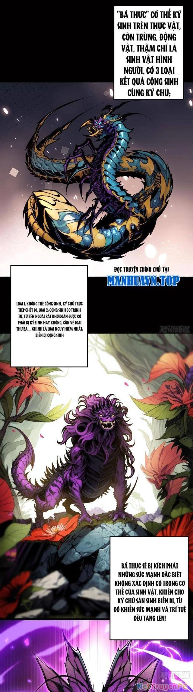 Bùng Cháy Đi Người Chơi Cấp Cao Chapter 18 - Trang 2