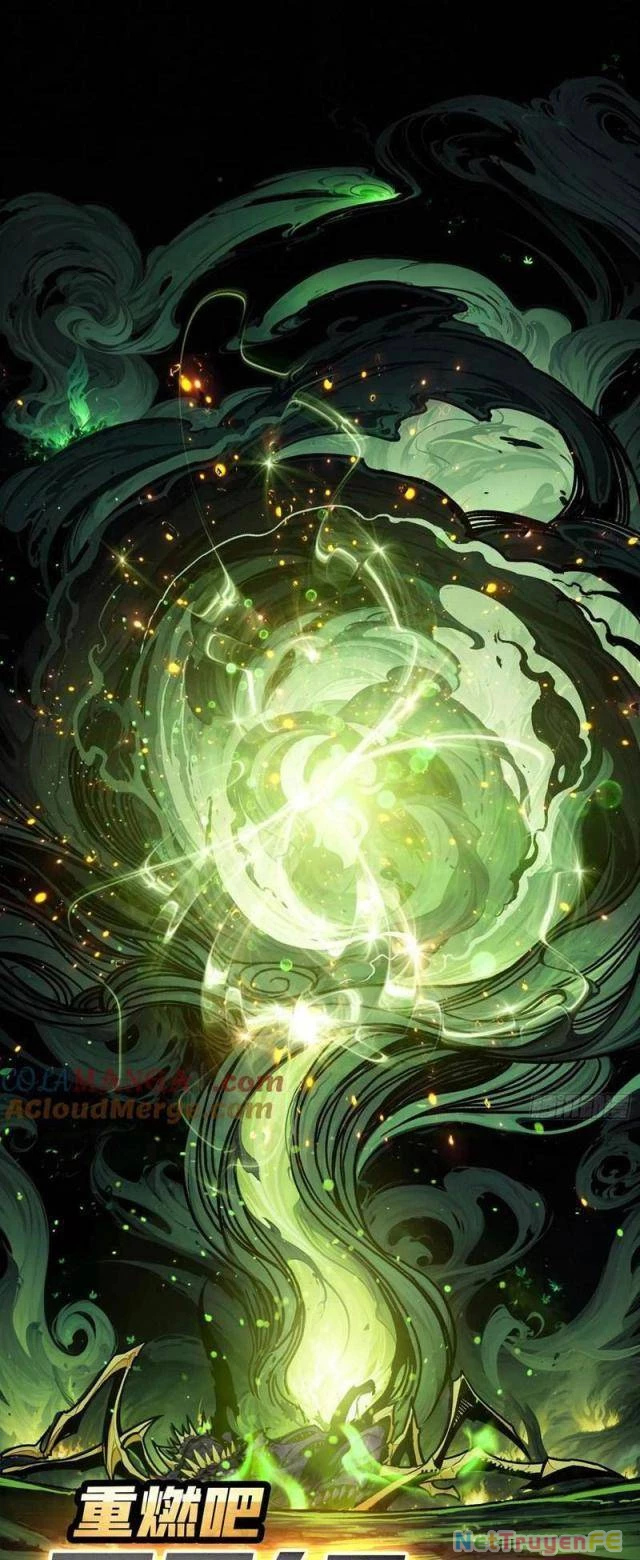 Bùng Cháy Đi Người Chơi Cấp Cao Chapter 24 - Trang 2