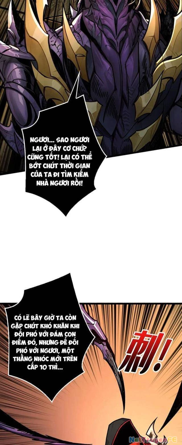 Bùng Cháy Đi Người Chơi Cấp Cao Chapter 24 - Trang 2