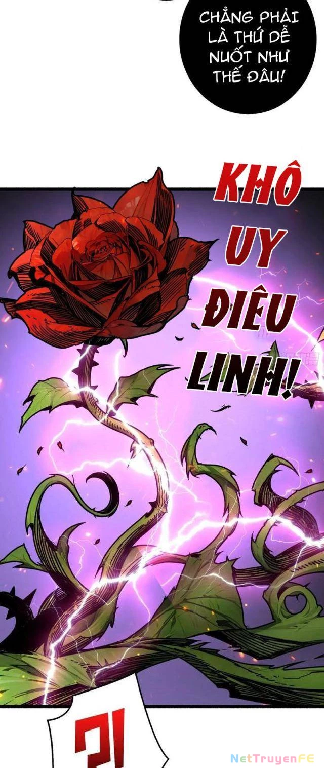 Bùng Cháy Đi Người Chơi Cấp Cao Chapter 26 - Trang 2