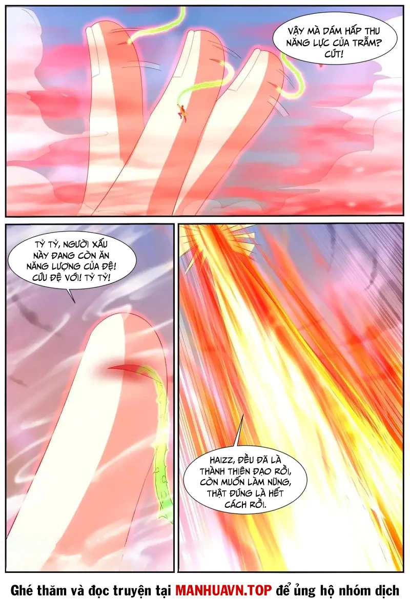 Trọng Sinh Đô Thị Tu Tiên Chapter 1042 - Trang 4