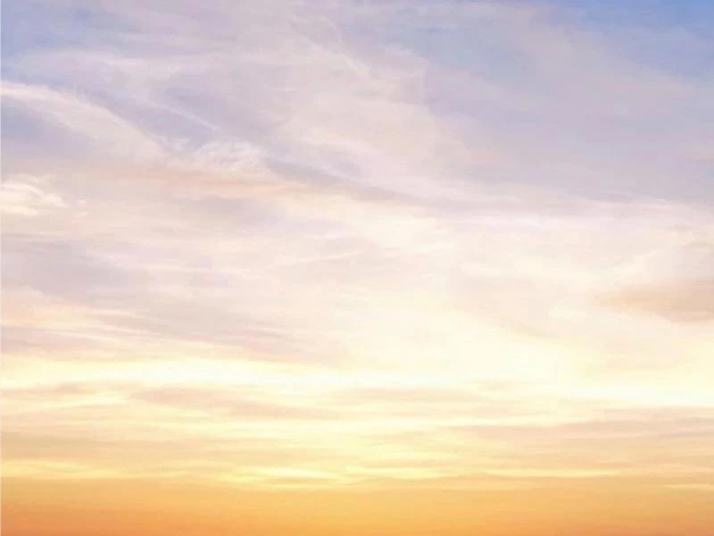 Ta Có 90 Tỷ Tiền Liếm Cẩu! Chapter 389 - Trang 4