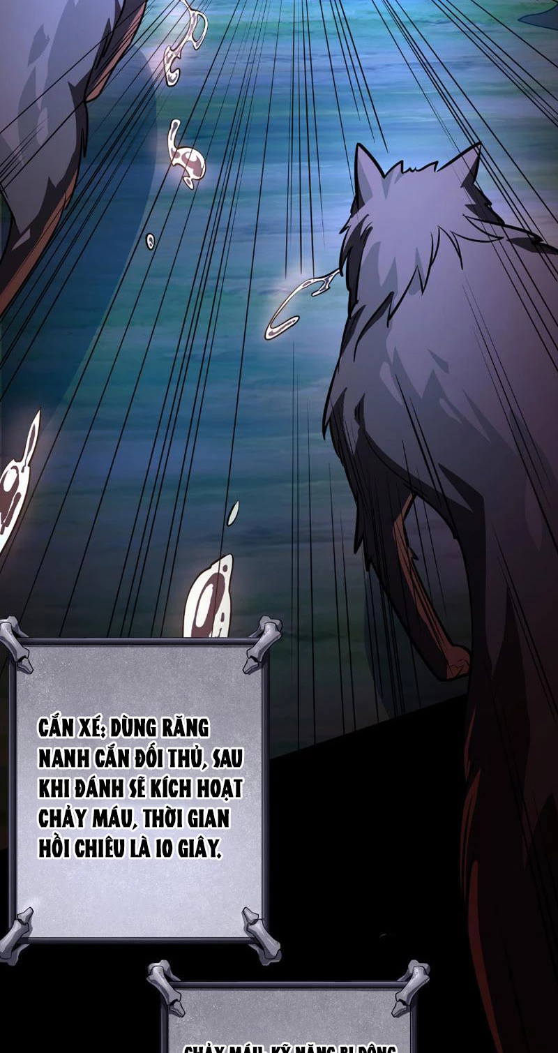 Tai Ách Cấp Mục Sư Chapter 2 - Next Chapter 3