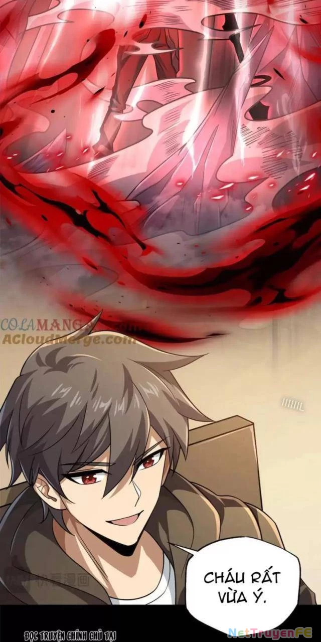 Tai Ách Cấp Mục Sư Chapter 12 - Next Chapter 13