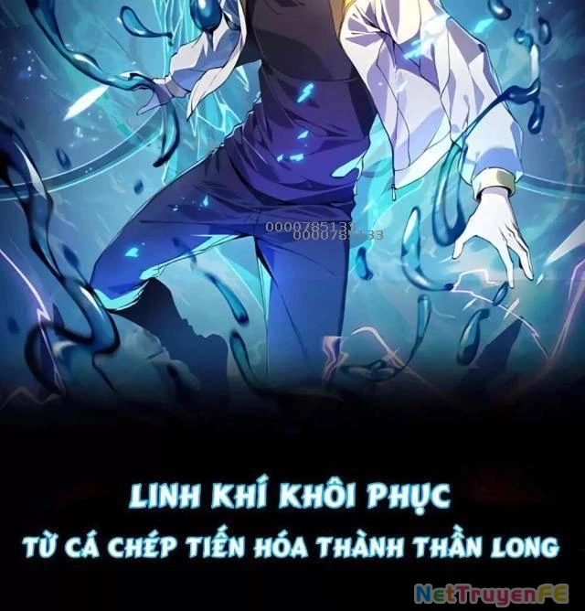 Tai Ách Cấp Mục Sư Chapter 13 - Next Chapter 14