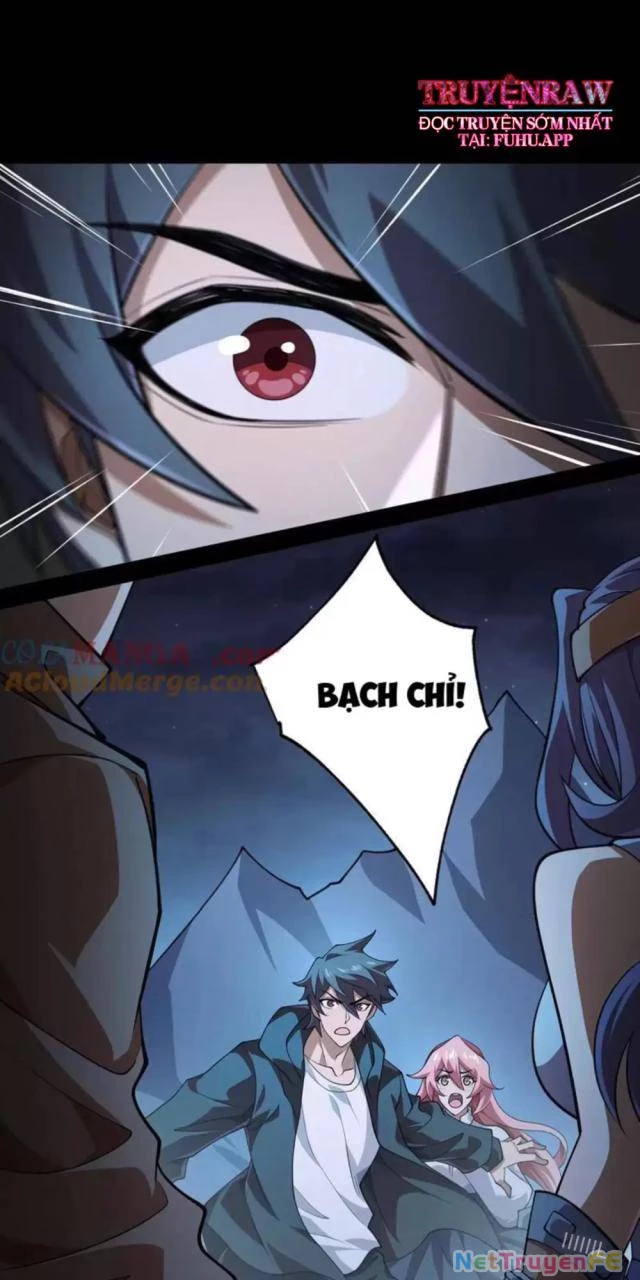 Tai Ách Cấp Mục Sư Chapter 14 - Next Chapter 15