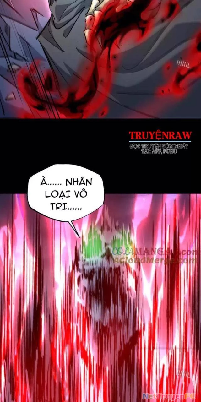 Tai Ách Cấp Mục Sư Chapter 24 - Next Chapter 25