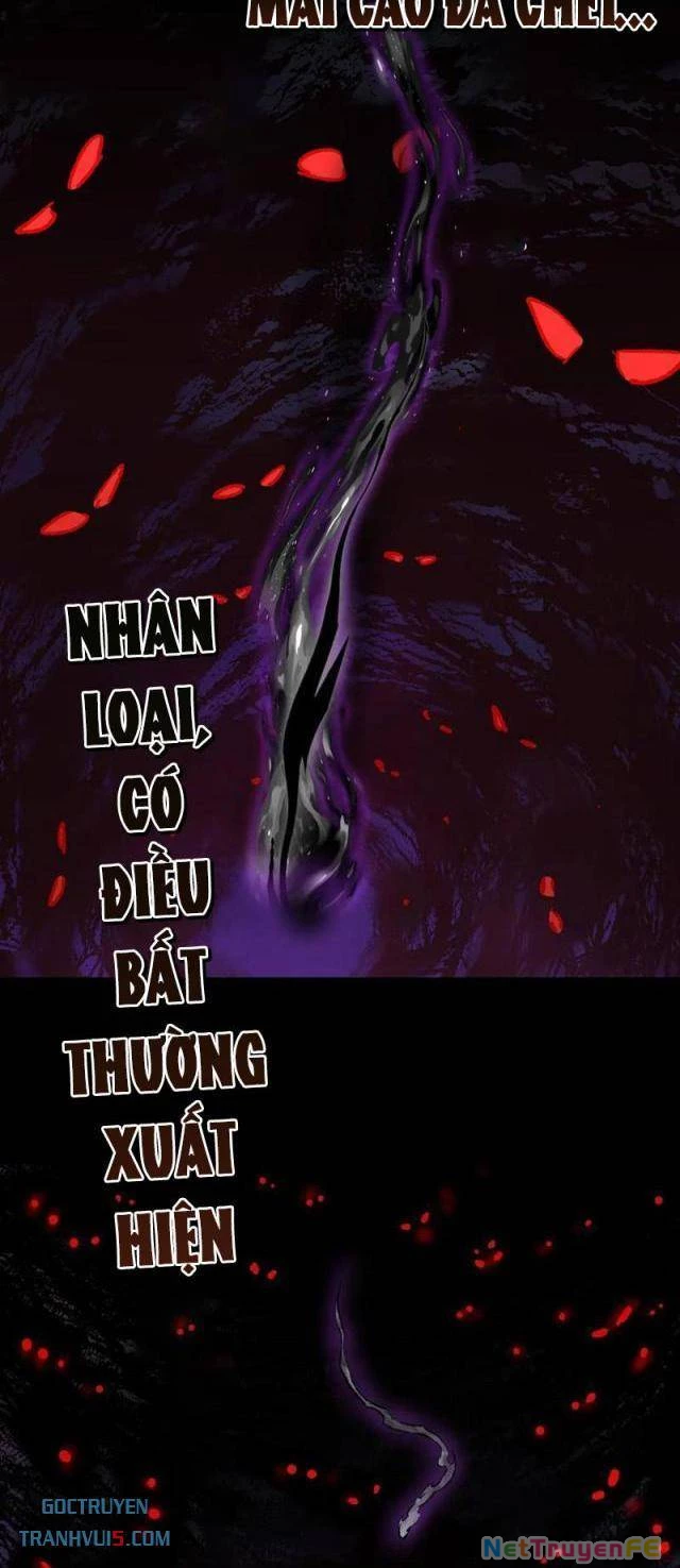 Tai Ách Cấp Mục Sư Chapter 31 - Next Chapter 32