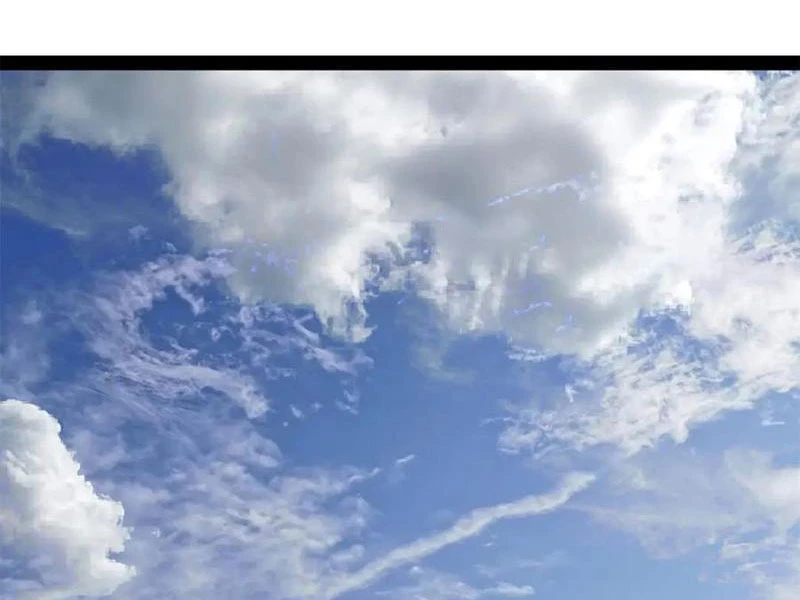 Chàng Rể Mạnh Nhất Lịch Sử Chapter 238 - Trang 4