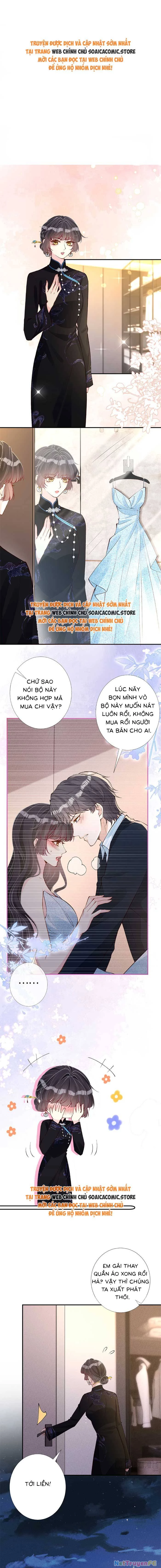 Ôm Khẩn Tiểu Mã Giáp Của Tôi Chapter 336 - Trang 4
