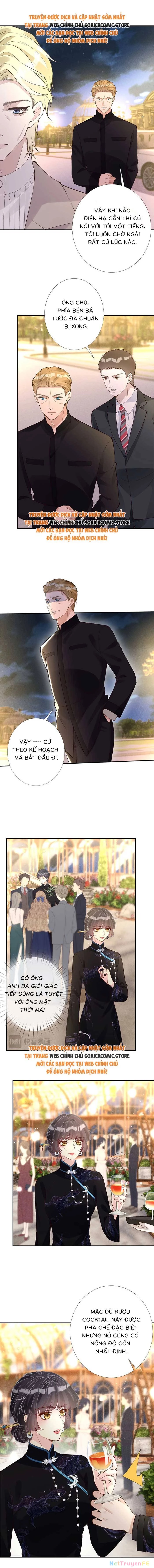 Ôm Khẩn Tiểu Mã Giáp Của Tôi Chapter 336 - Trang 4