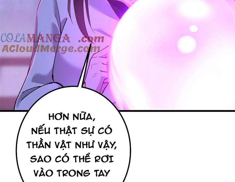 Chưởng Môn Khiêm Tốn Chút Chapter 430 - Trang 4